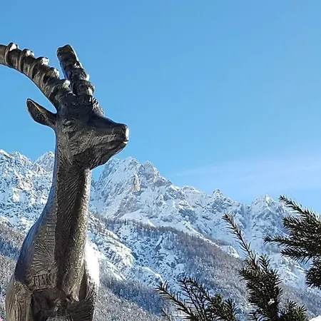 Lejlighed Nigritella *