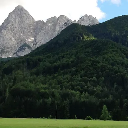 Nigritella * Kranjska Gora