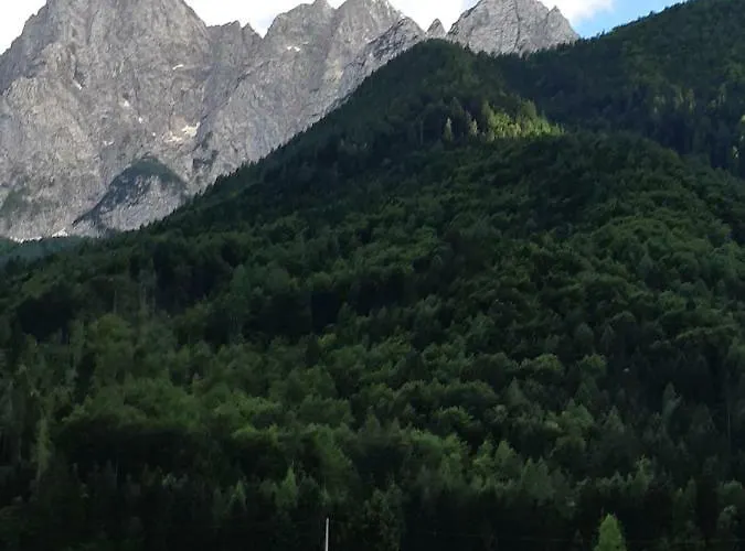 Nigritella * Kranjska Gora